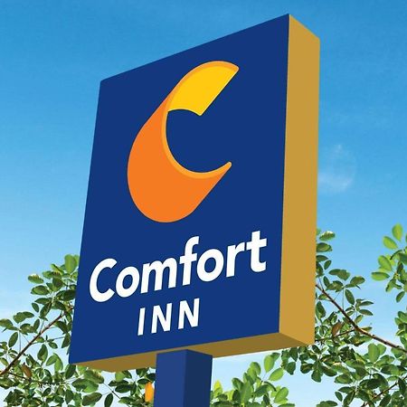 Comfort Inn Мартинсвил Екстериор снимка