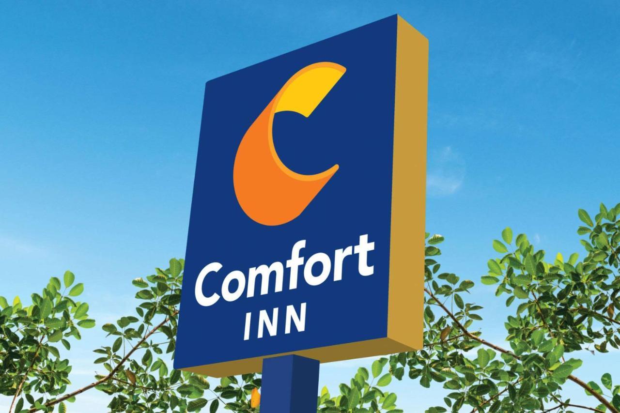 Comfort Inn Мартинсвил Екстериор снимка